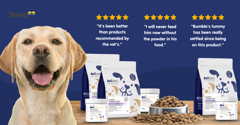 Aviform Nutrition UK - Horse & Dog Facebook ad