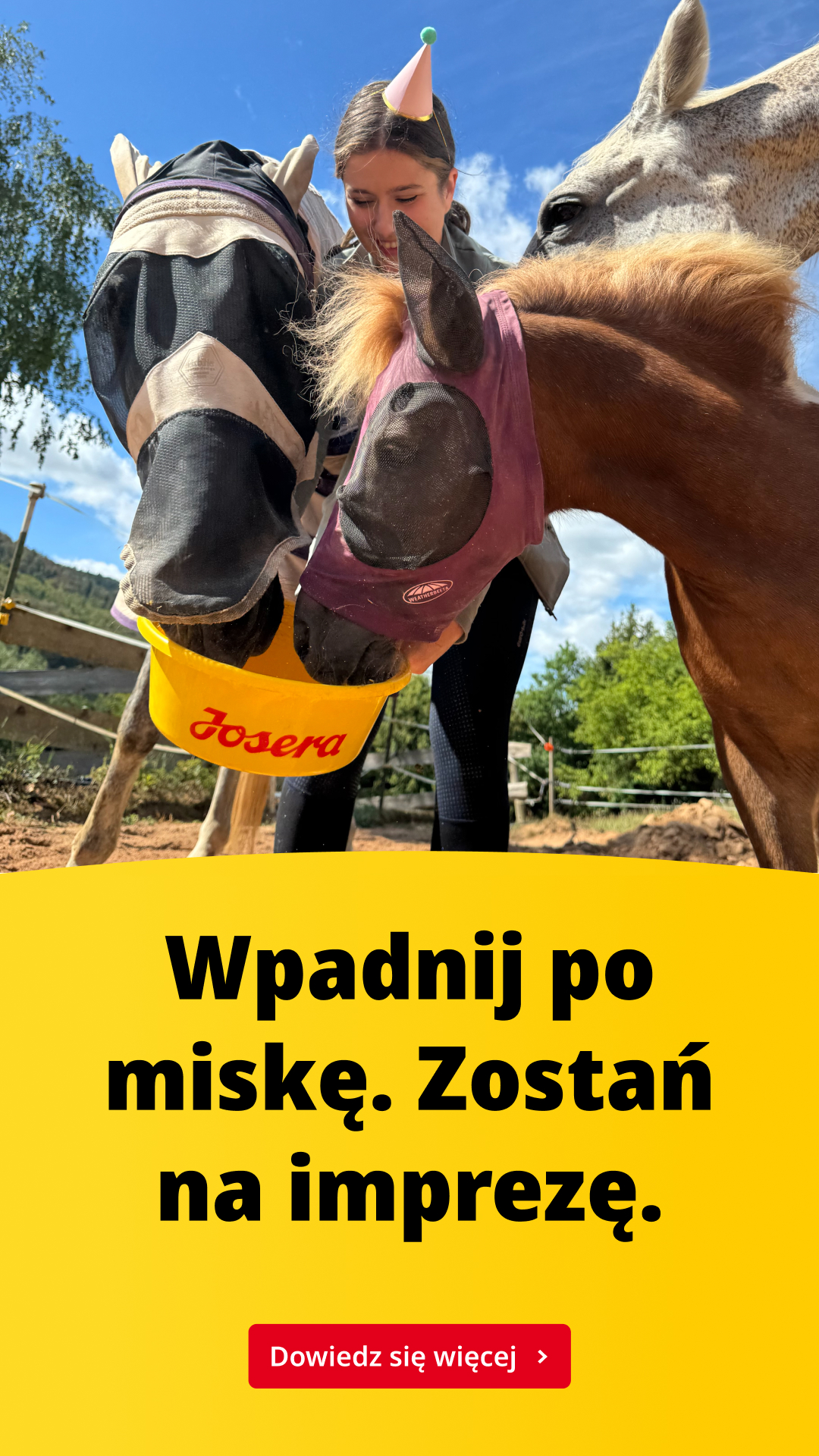 Josera żywienie koni Facebook ad