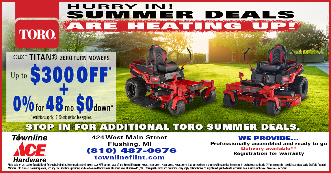 Townline Ace Hardware Facebook ad from Jun 1, 2026
