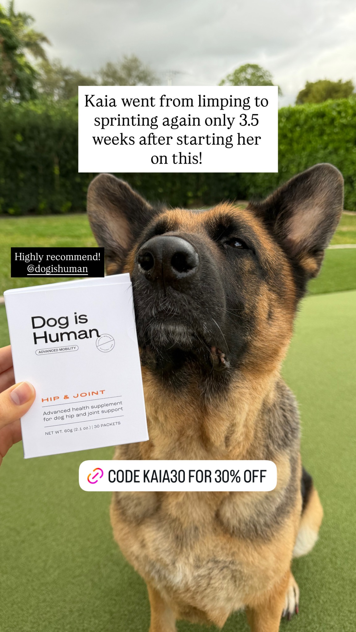 Dog is Human Facebook ad