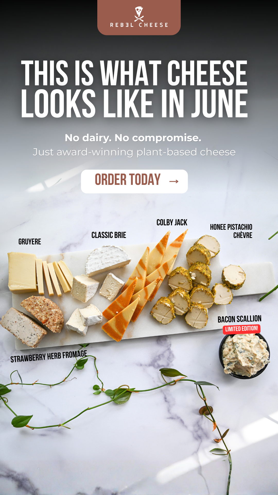 Rebel Cheese Facebook ad