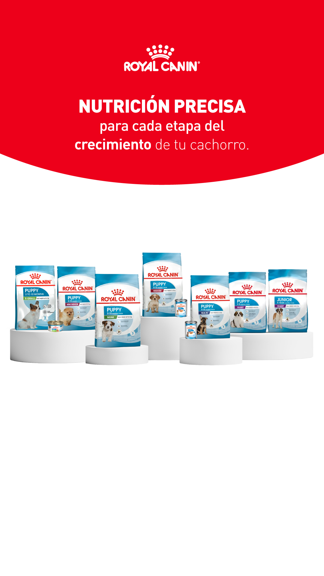Royal Canin Colombia Facebook ad: Un inicio excepcional para cada vida