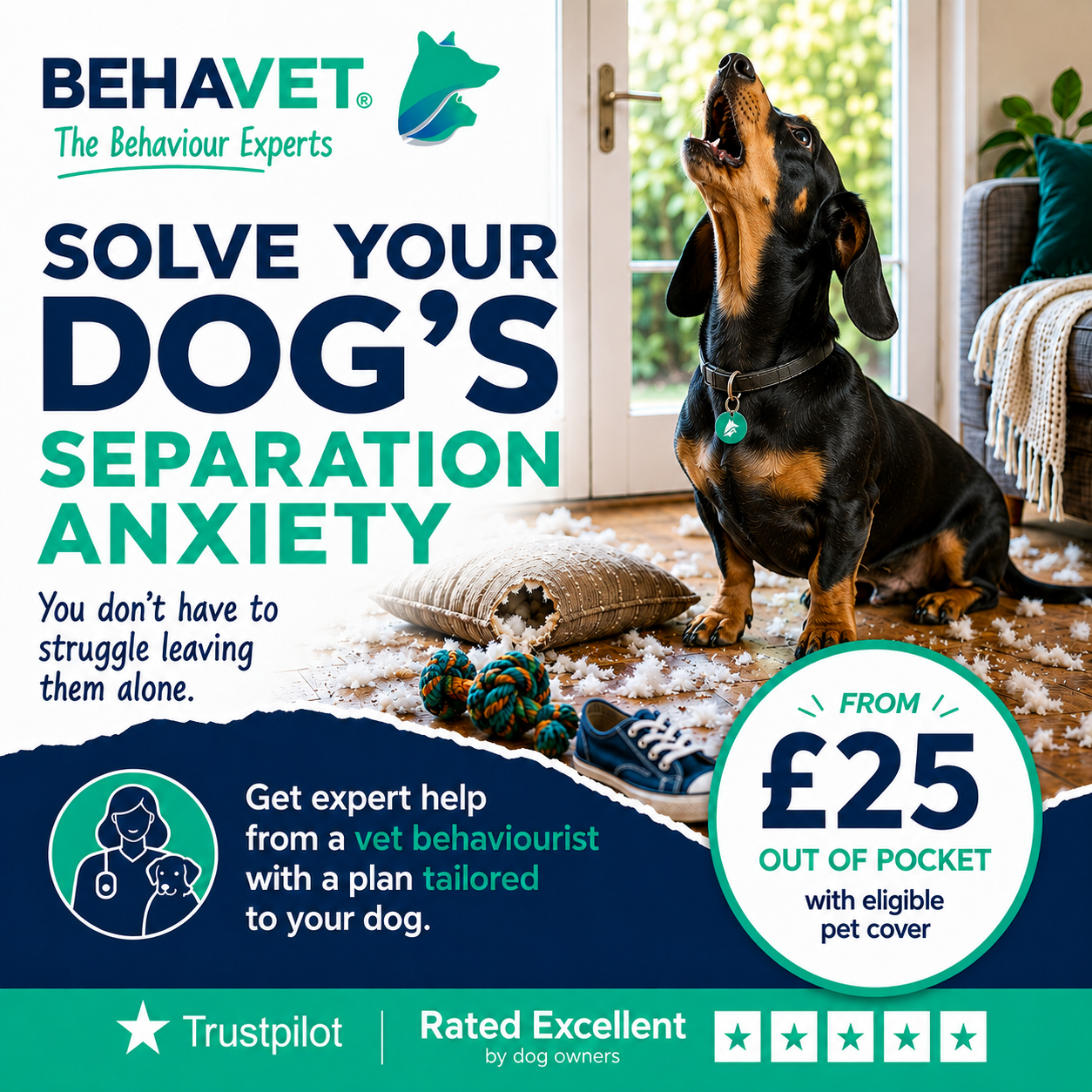 Behavet: The Pet Behaviour Experts Facebook ad