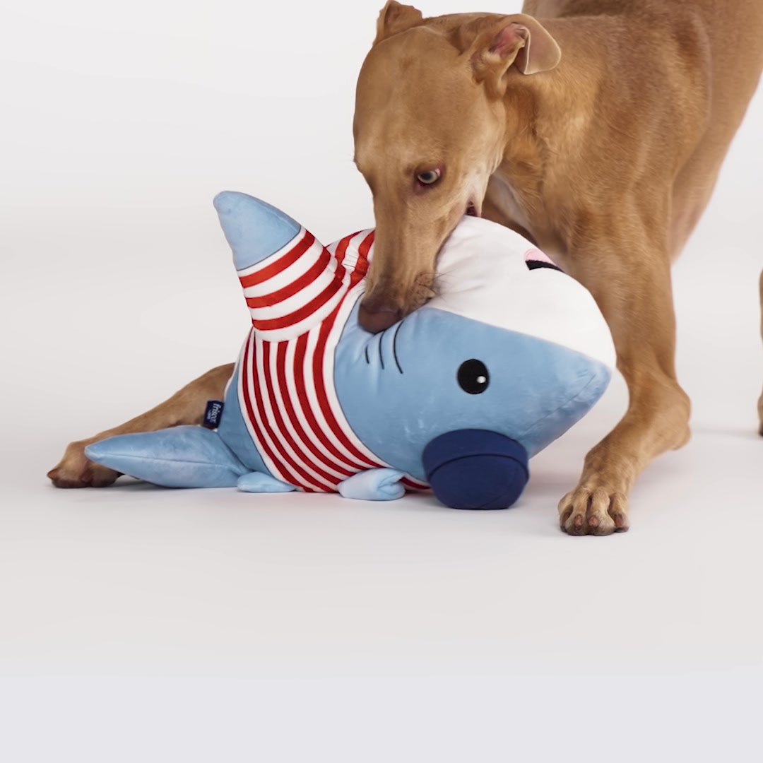 Chewy Facebook ad: Iams Proactive Health Healthy Weight Chicken Flavor Adult…