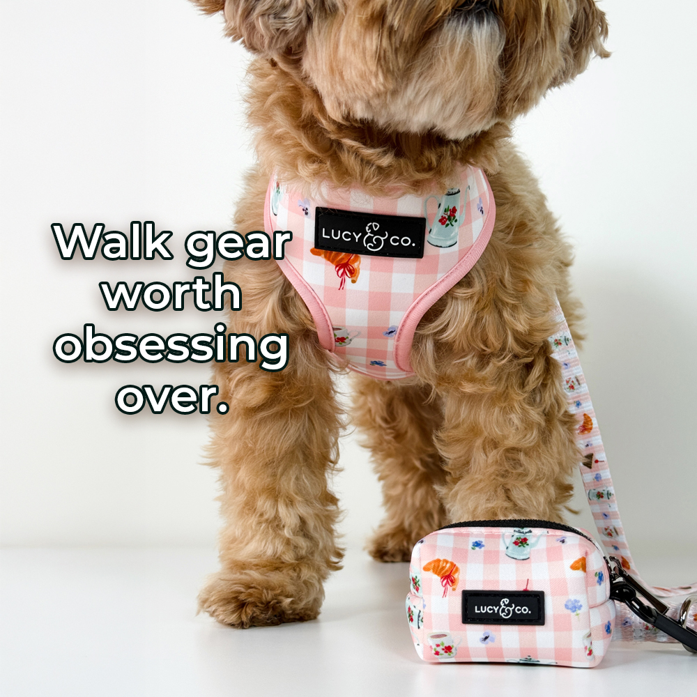 Lucy & Co. Facebook ad