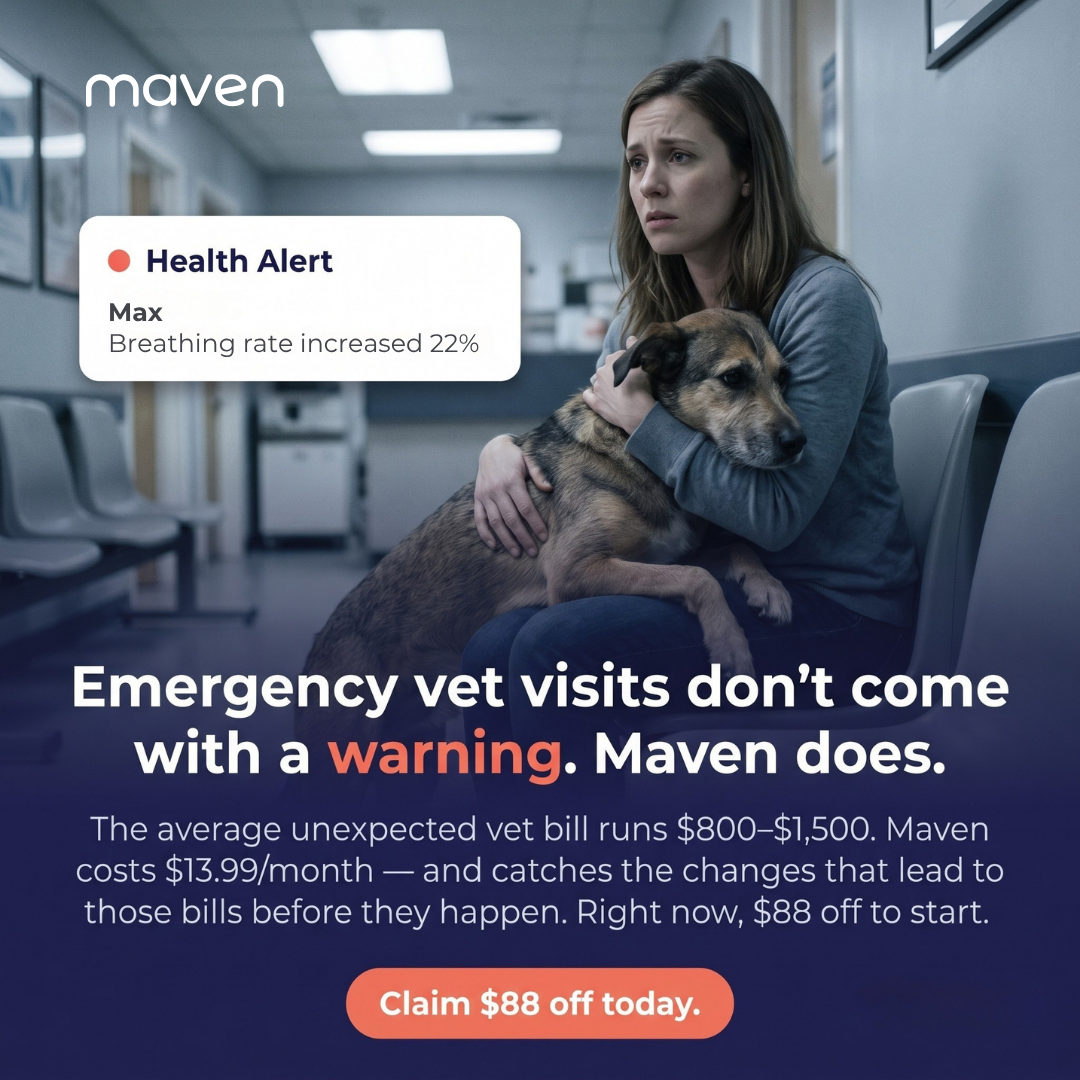 Maven Pet Facebook ad