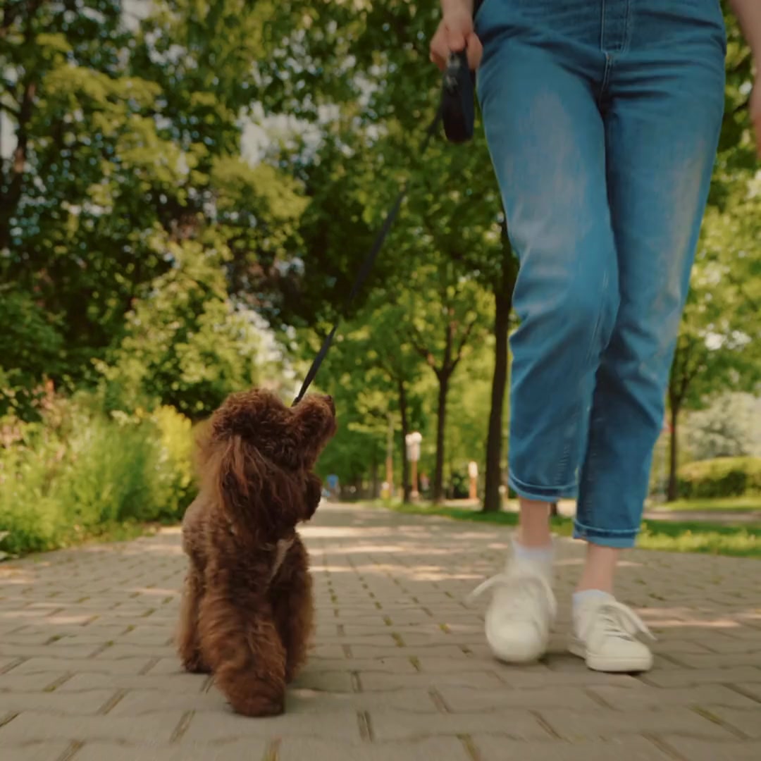 Penn Foster Facebook ad: Online Veterinary Tech Program
