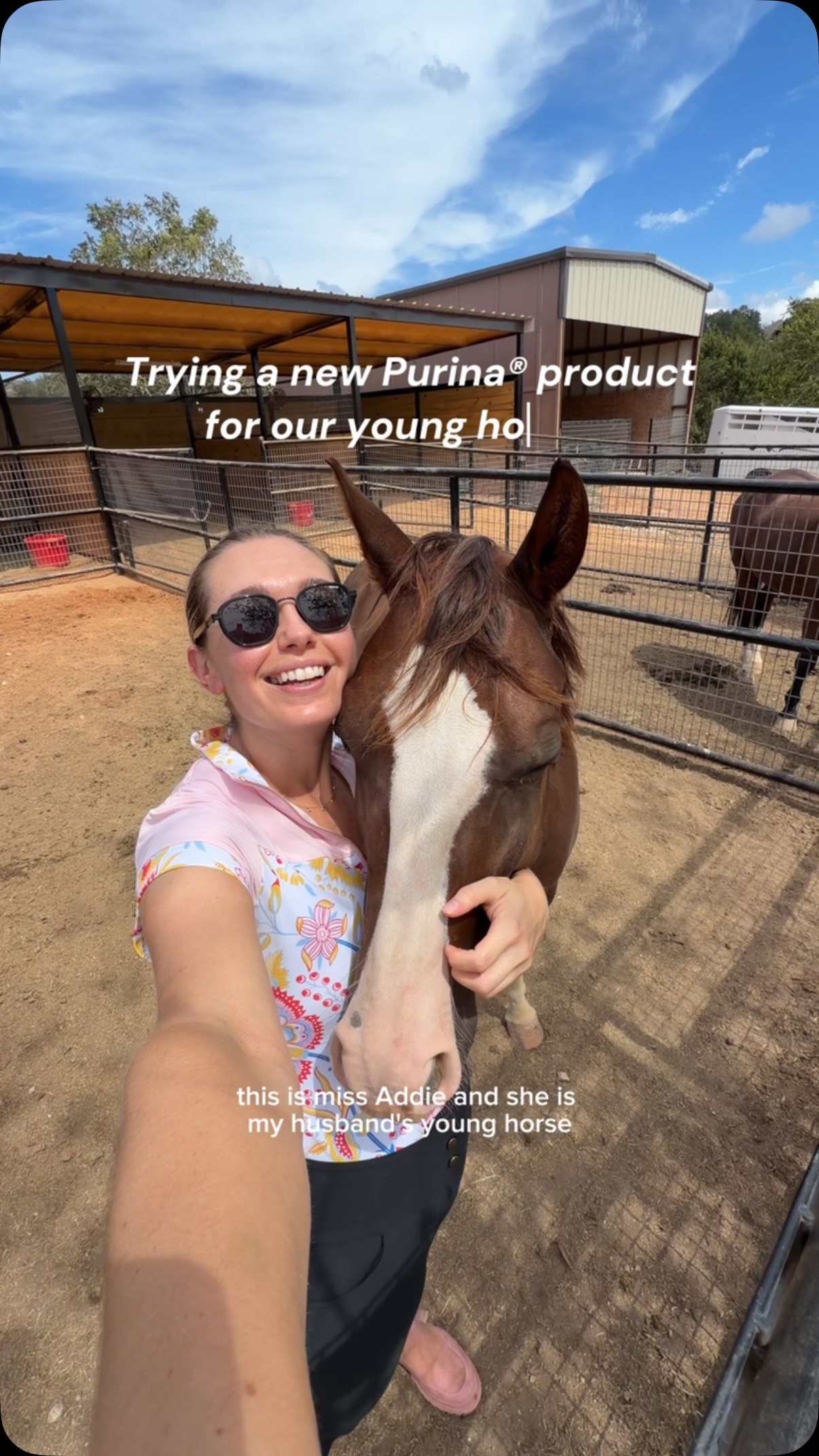 Purina Horse Facebook ad: Addie has recently made the transition from a…