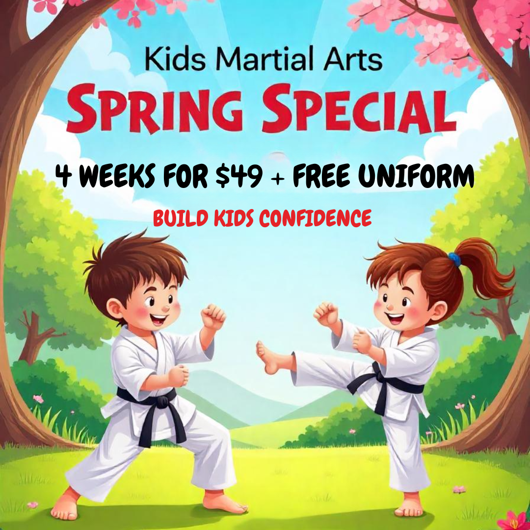 Mana Martial Arts Oklahoma Facebook ad
