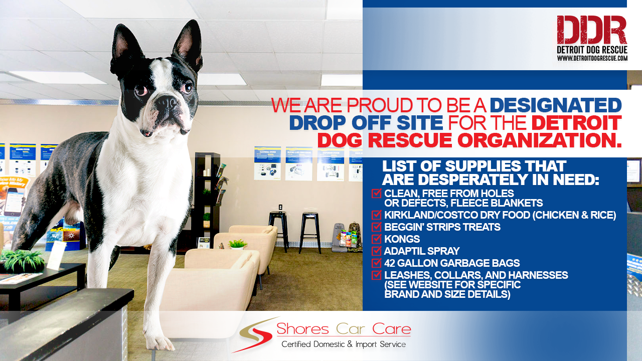 Shores Car Care Facebook ad: St. Clair Shores Auto Repair - Shores Car Care