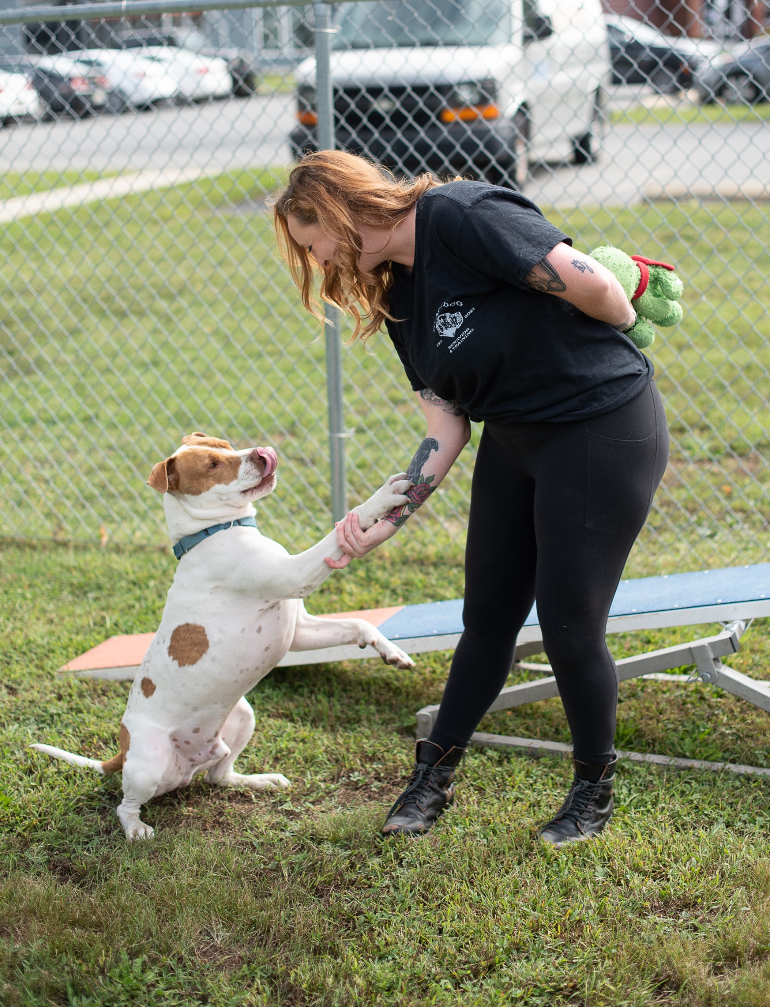 BlackDog Behavior and Training, LLC Facebook ad: Book an In-Home or Virtual Consultation