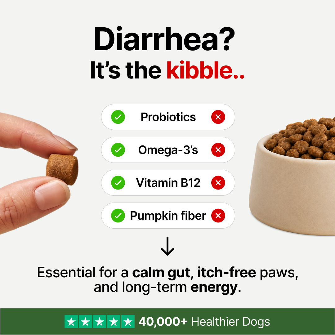 VitalPaws Facebook ad