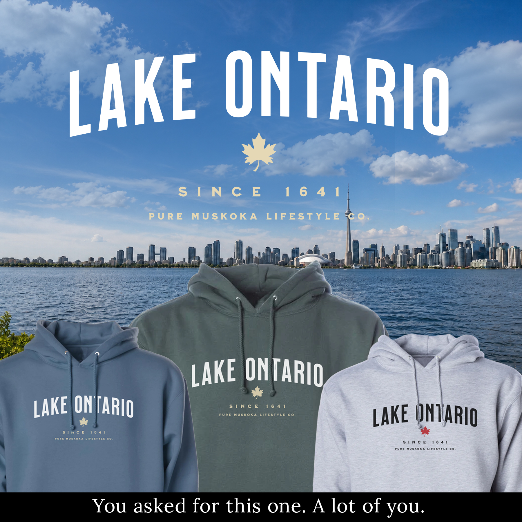 Pure Muskoka Facebook ad