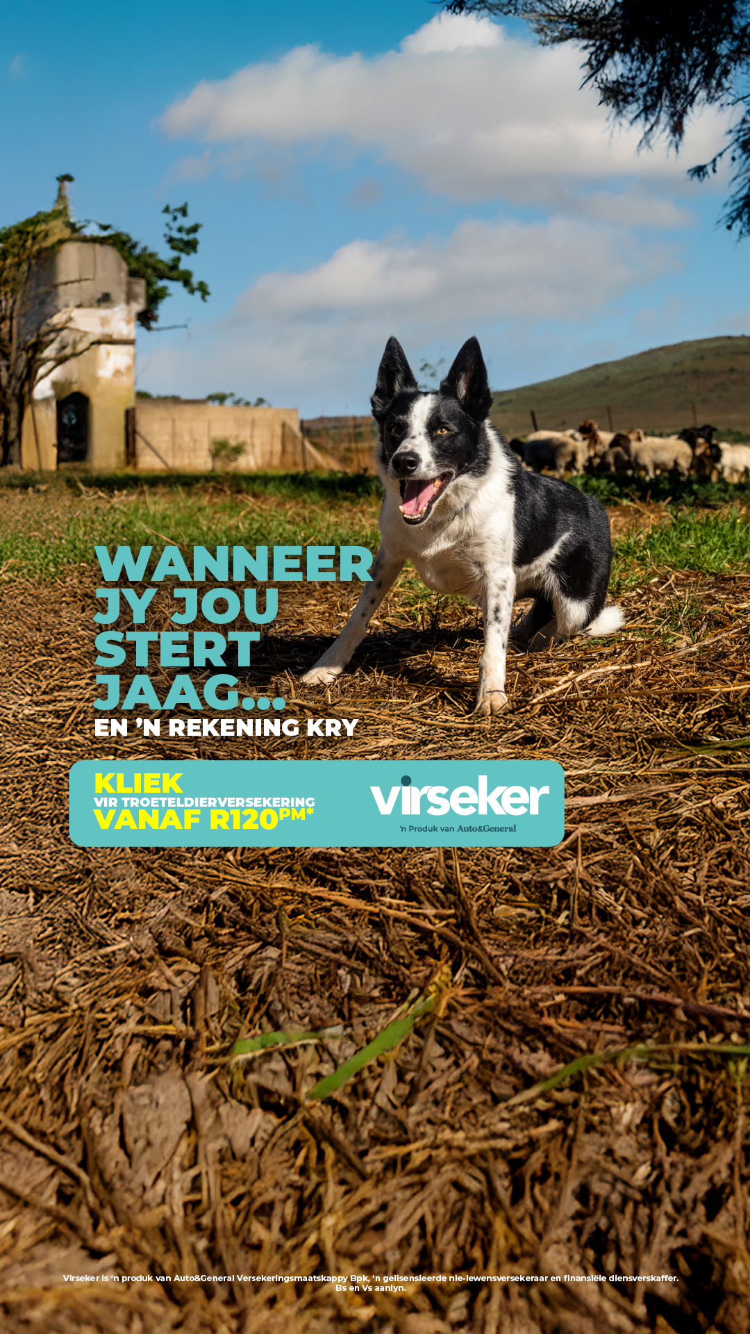 Virseker Facebook ad from Aug 11, 2026