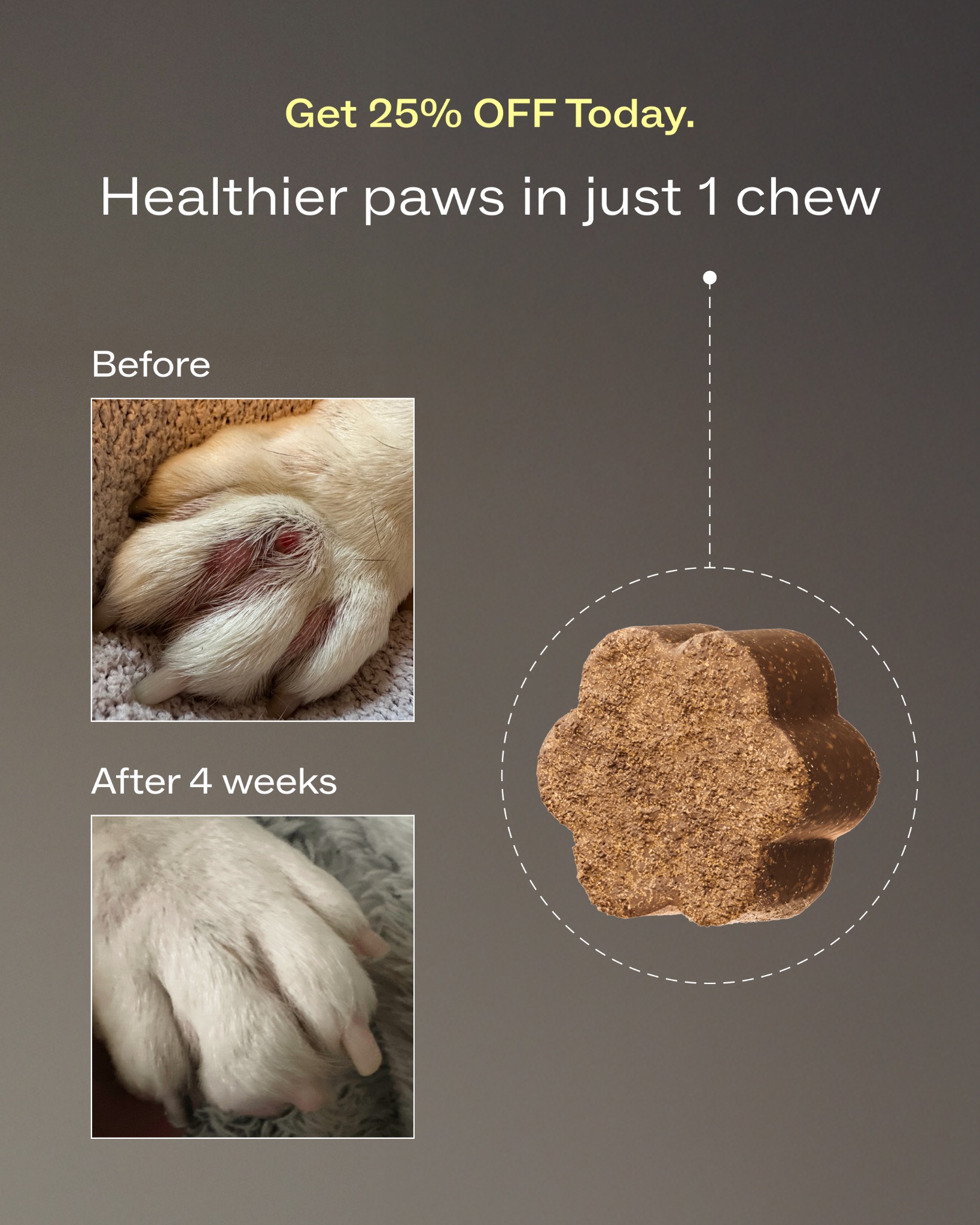 Dog is Human Facebook ad