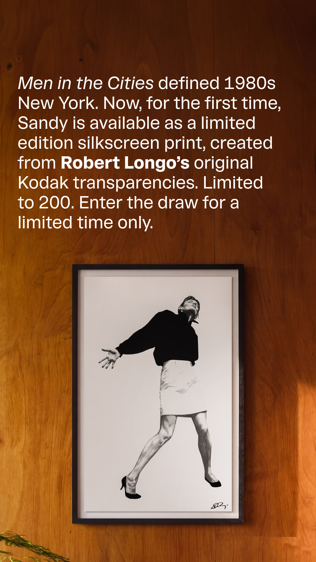 robert_longo_studio Facebook ad