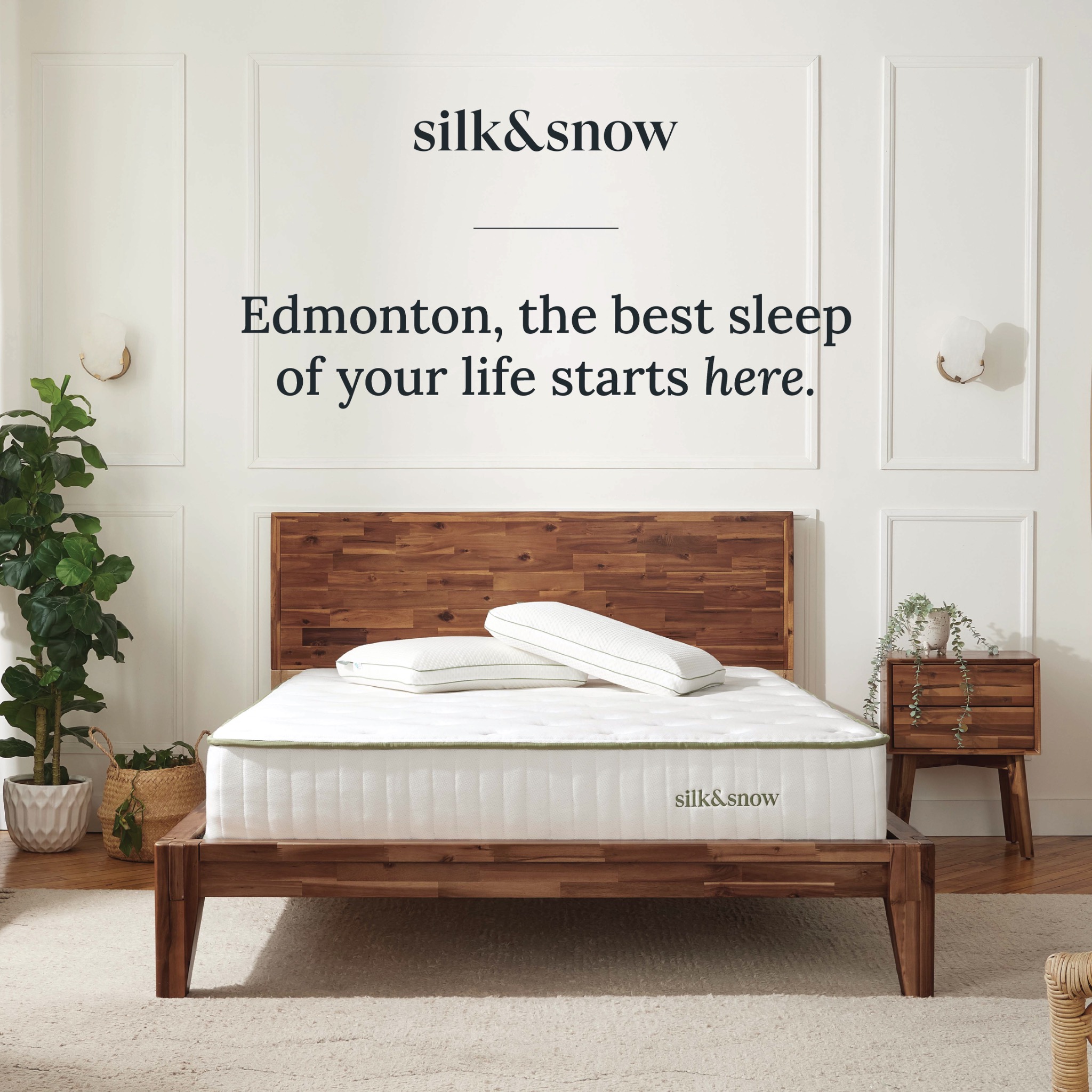 Silk and Snow Facebook ad