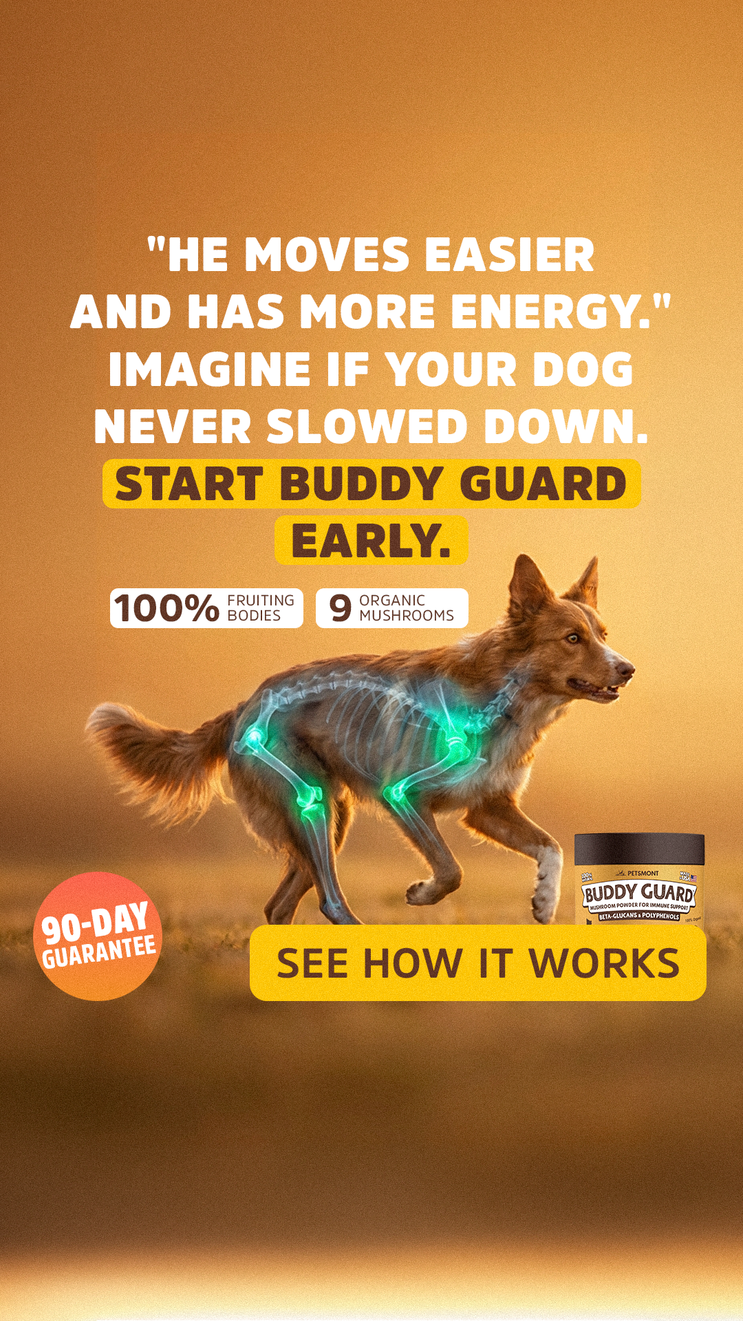 Well Pup Life Facebook ad