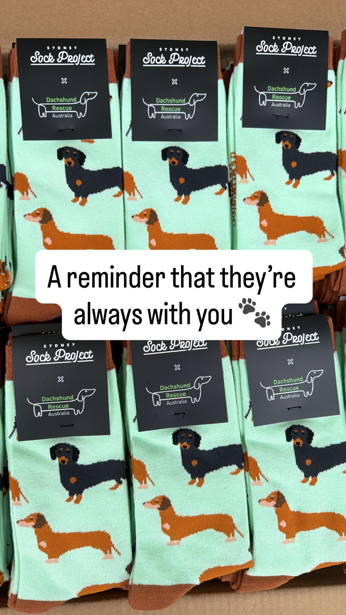 Sydney Sock Project Facebook ad