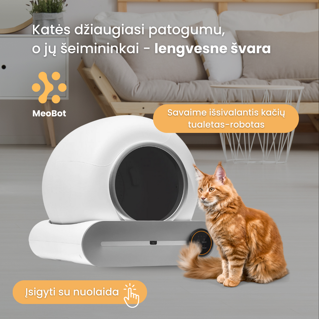 Premiumnamai.lt Facebook ad