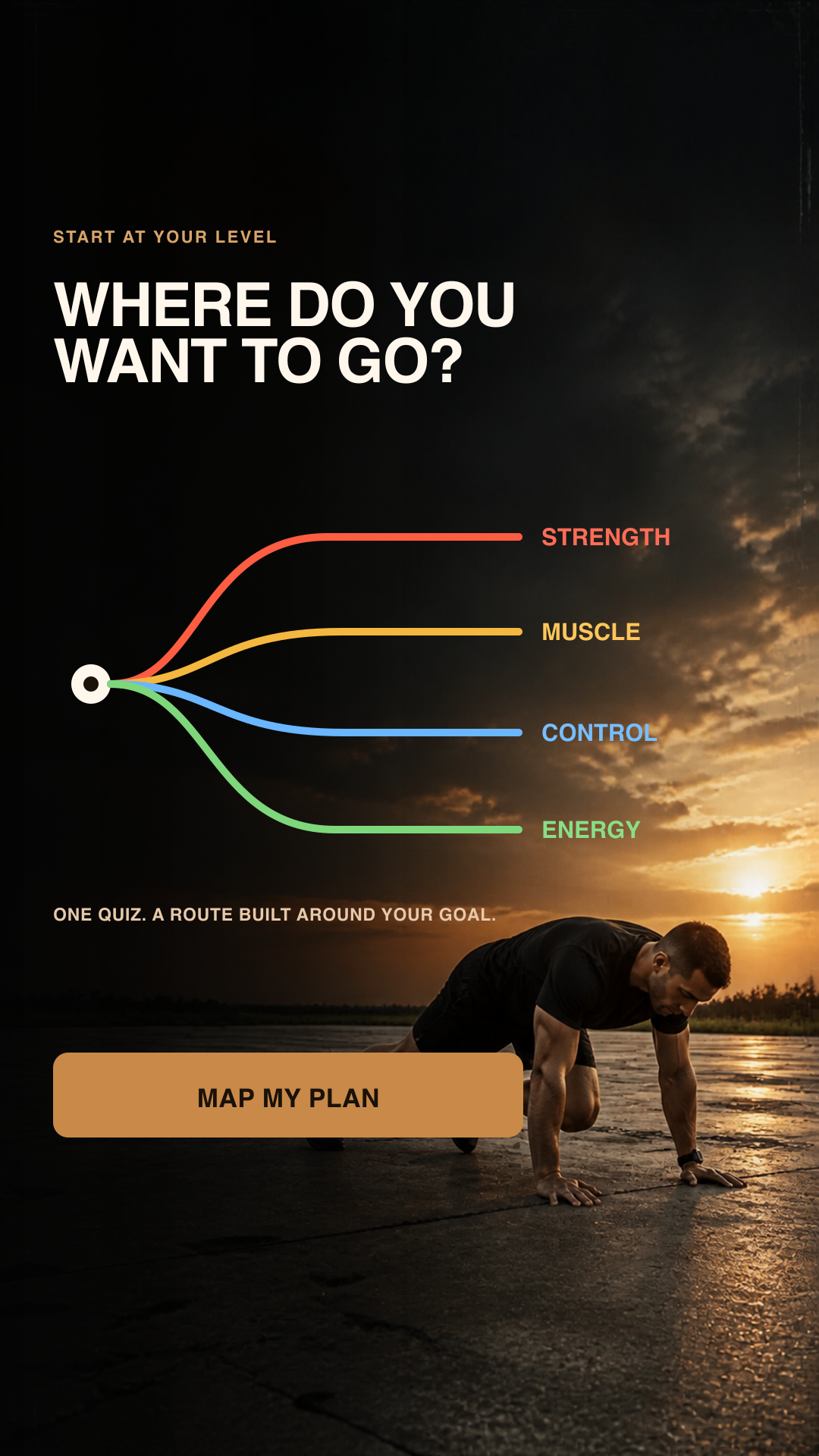 Vivid: Calisthenics Workouts Facebook ad from Aug 14, 2026