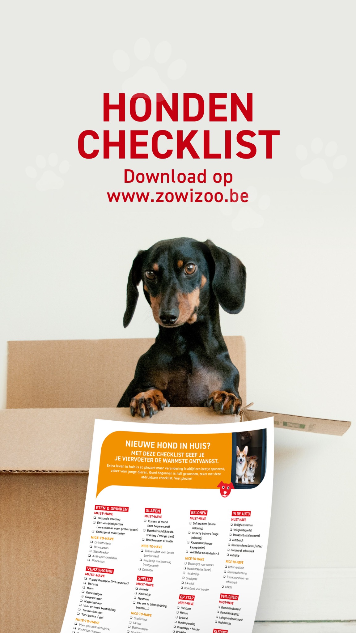Zowizoo Facebook ad