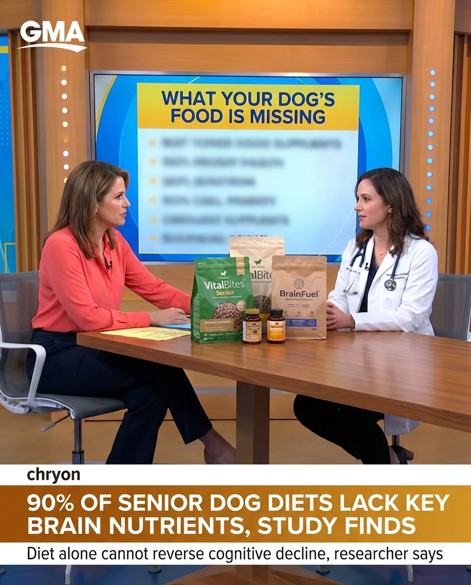 Vet Health Insider Facebook ad