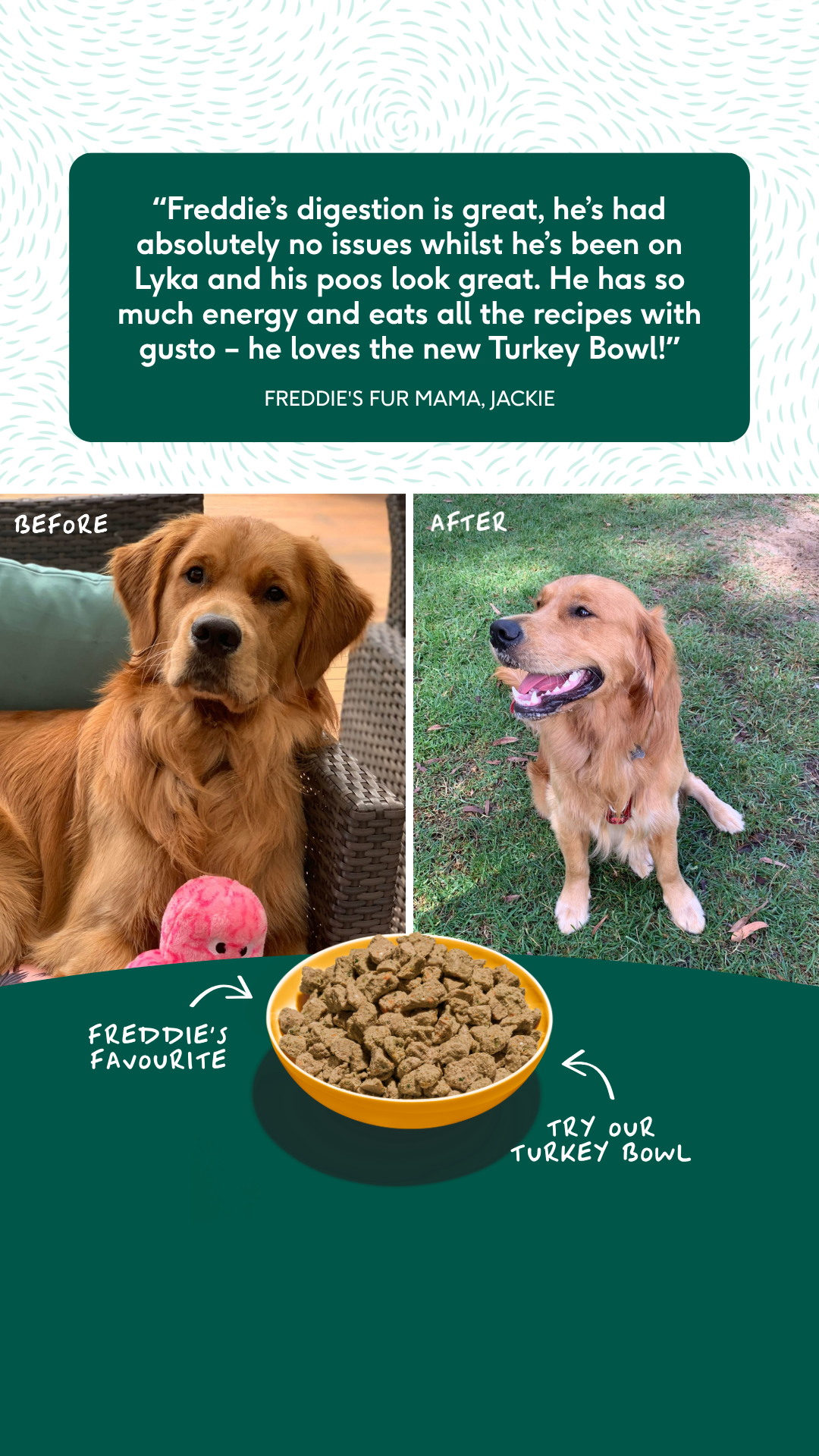 Lyka Pet Food Facebook ad