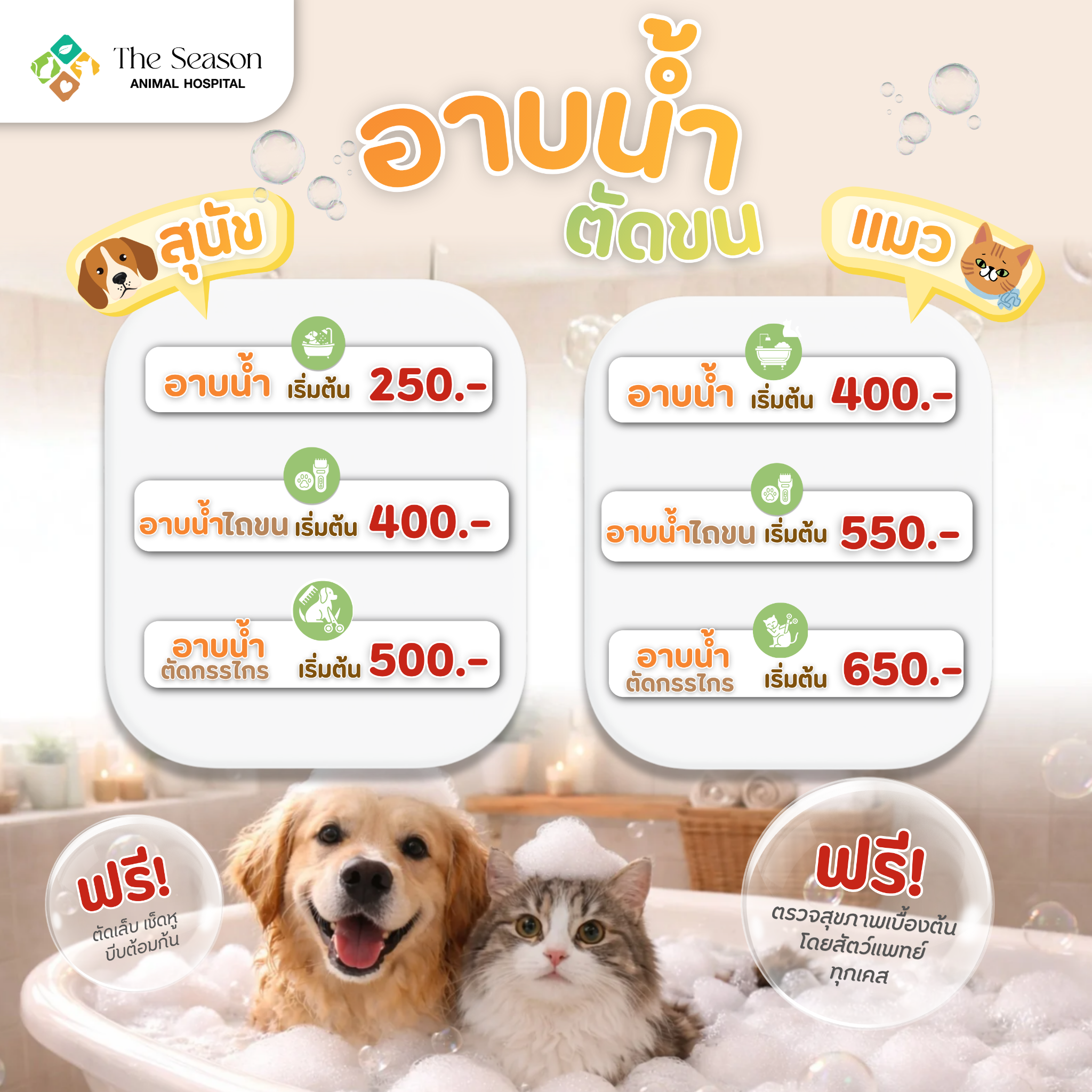 โรงพยาบาลสัตว์ เดอะซีซั่น - The Season Animal Hospital Facebook ad