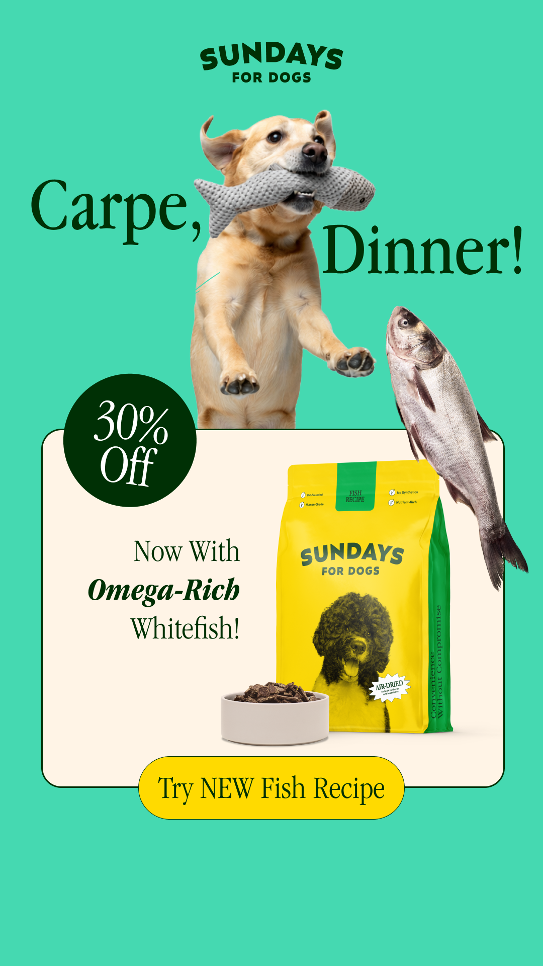 Sundays Facebook ad