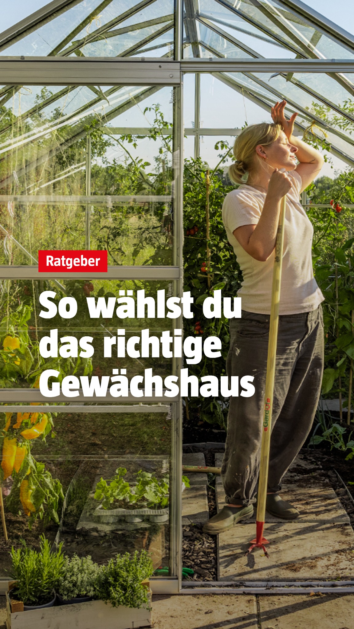 BAUHAUS Deutschland Facebook ad