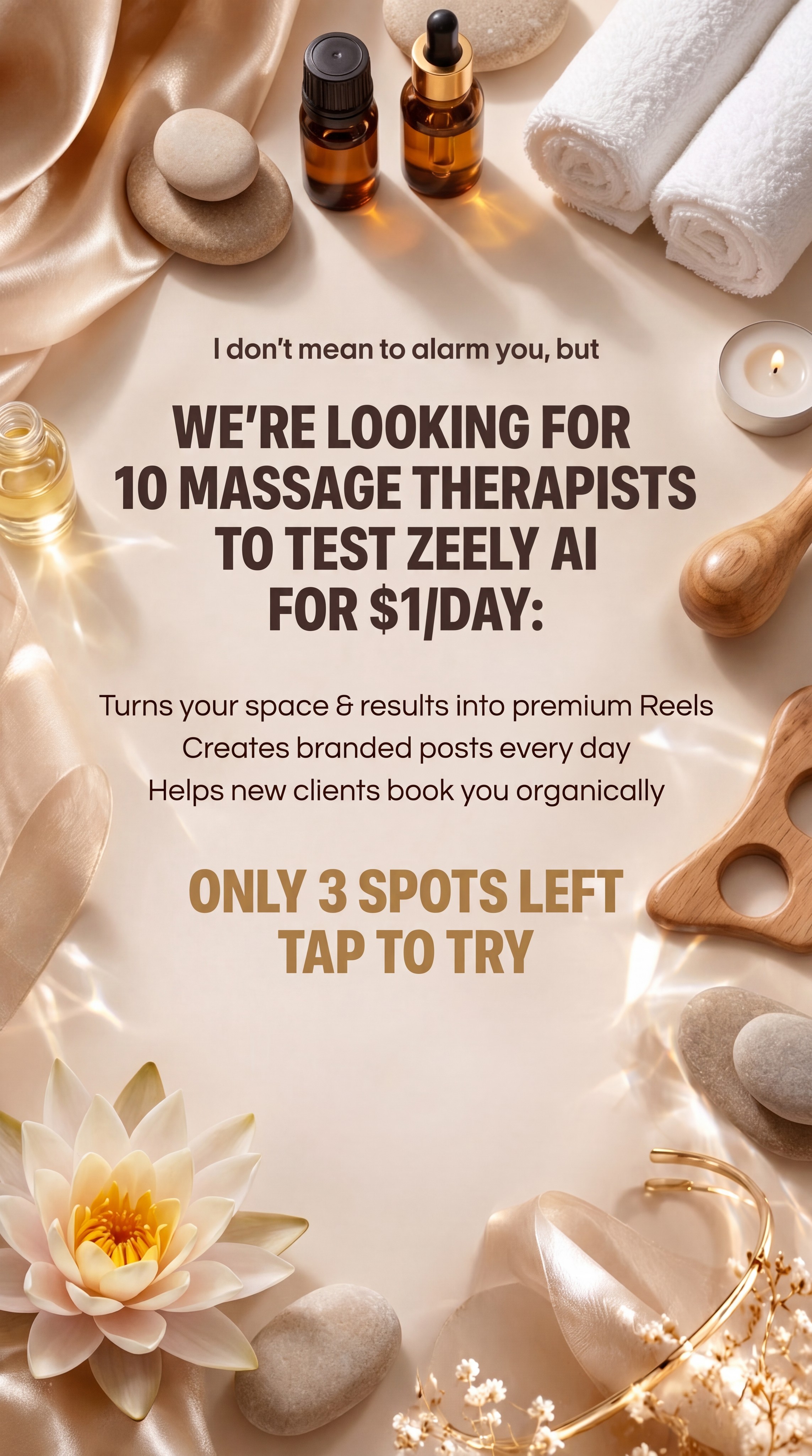 Zeely Facebook ad
