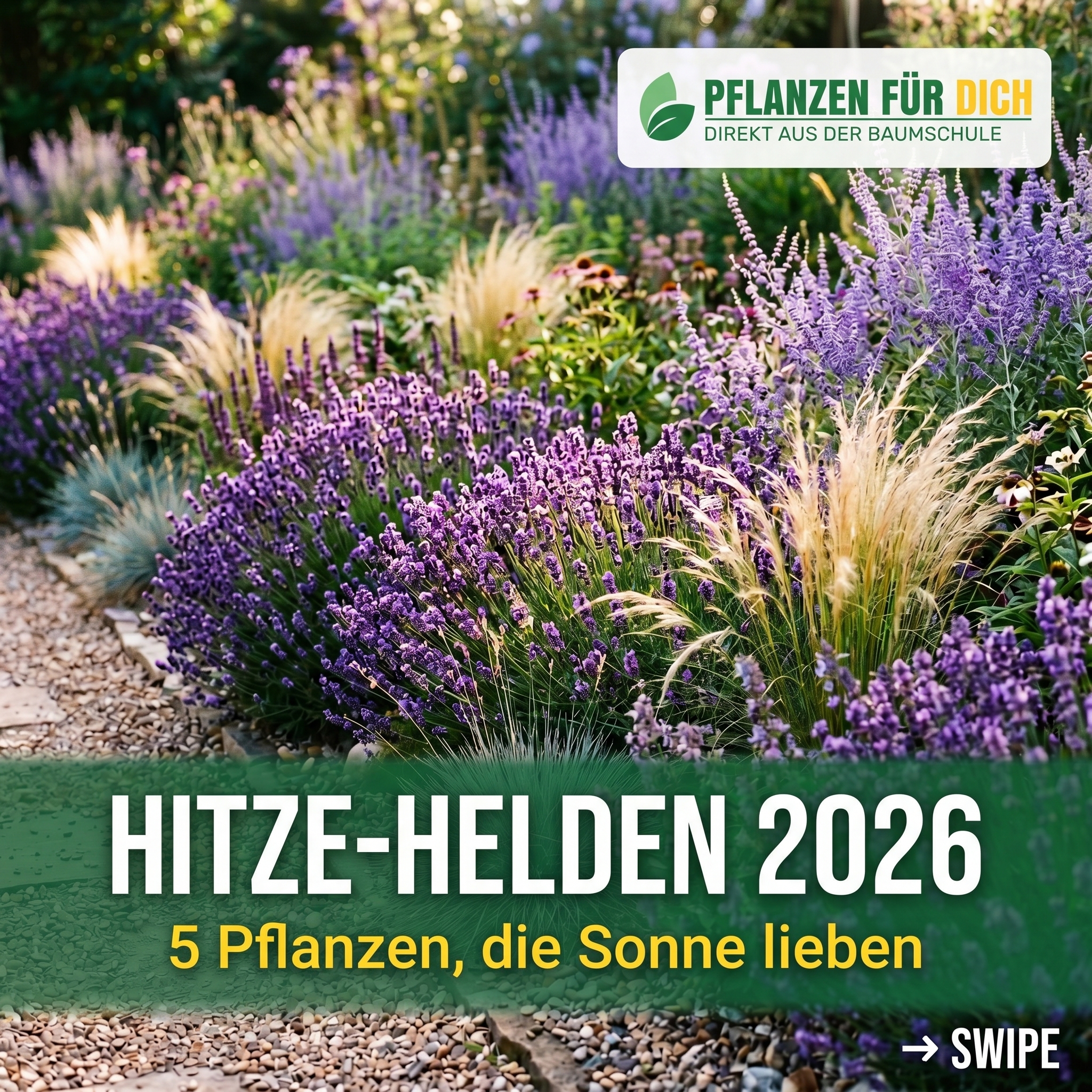 Pflanzen-für-dich.de Facebook ad