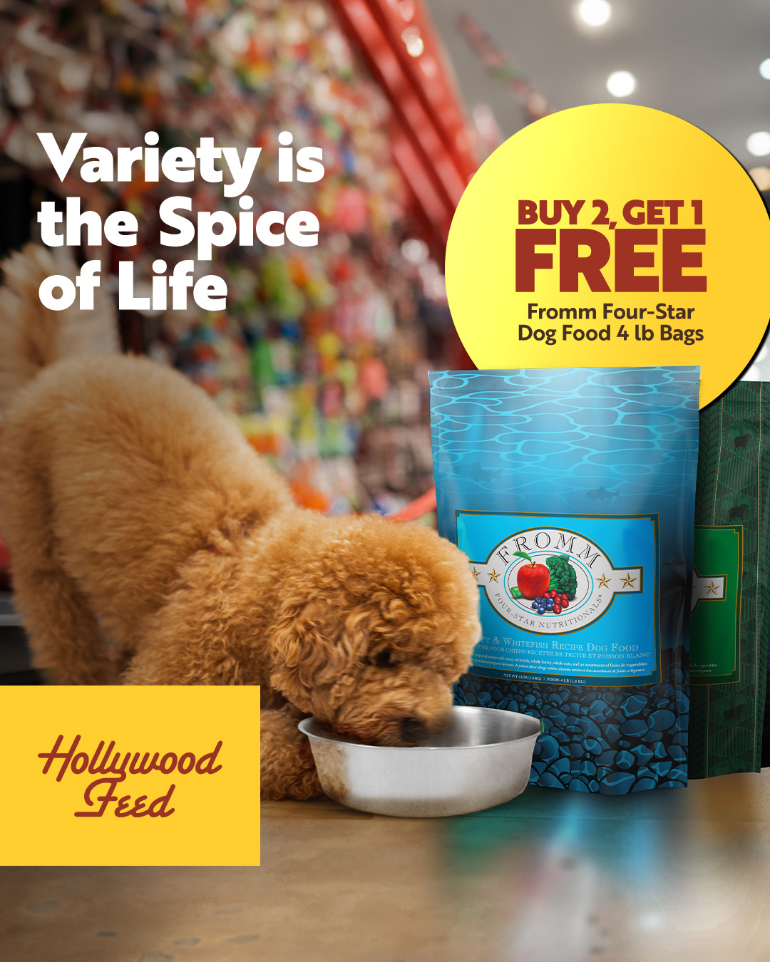 Hollywood Feed Facebook ad