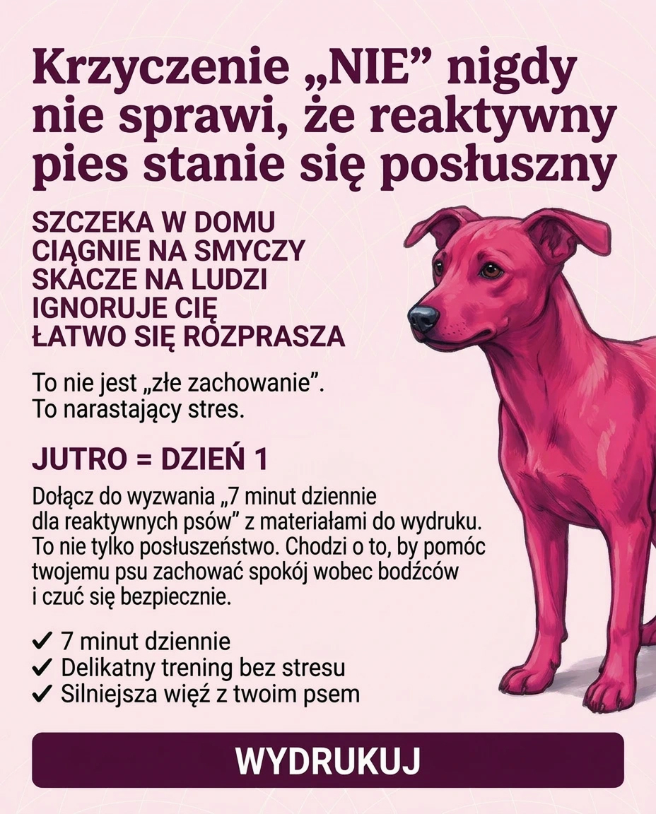 EveryDoggy: Dog Training app Facebook ad