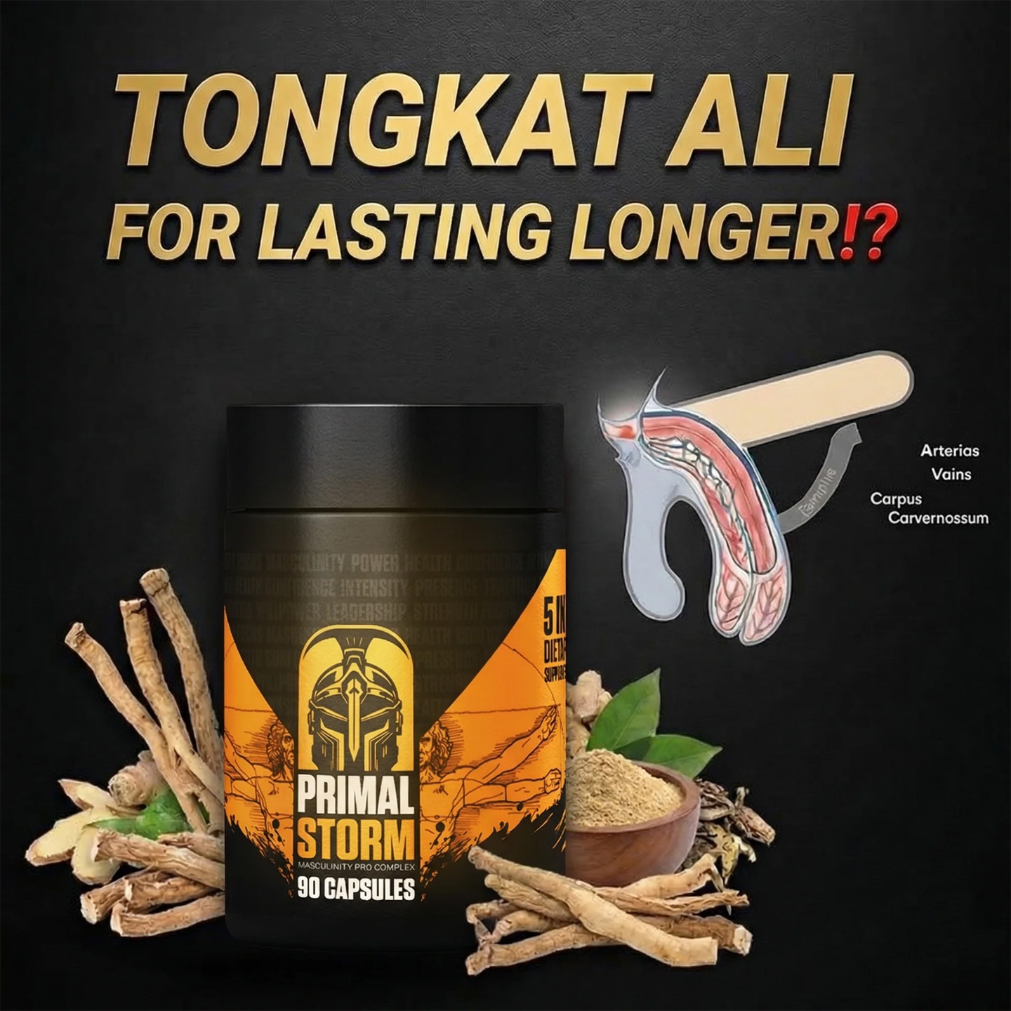 Primal-Storm Facebook ad