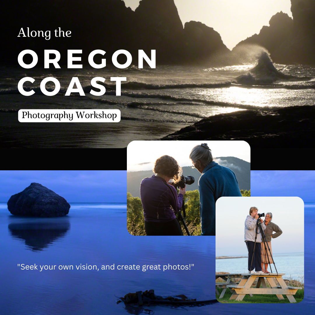 Barefoot Contessa Photo Adventures Facebook ad