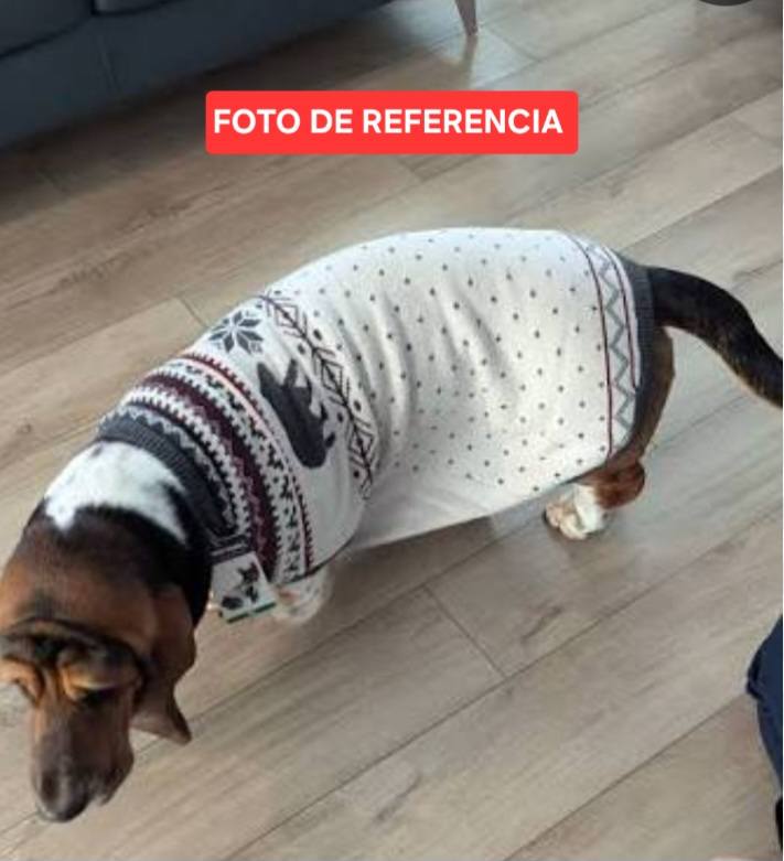 Huellitas monster Facebook ad: Empezamos en nombre de dios tu que nos…