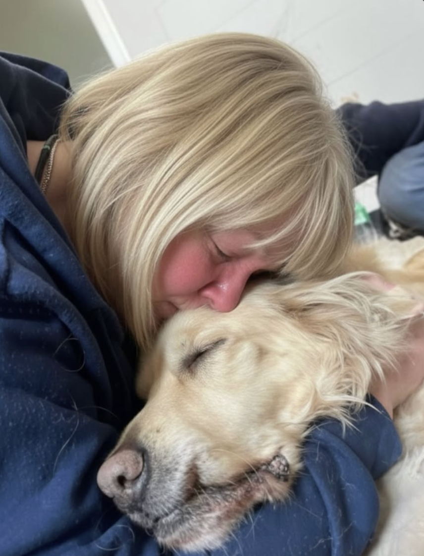 Sophie's DaiIy BIog Post Facebook ad: Read this if your dog has Arthritis