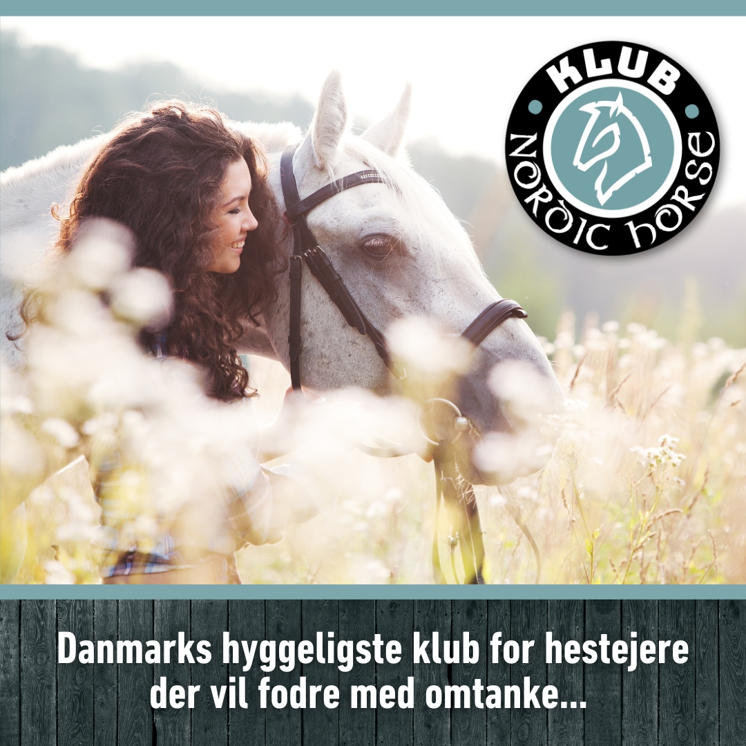 Nordic Horse Facebook ad from Jun 6, 2024