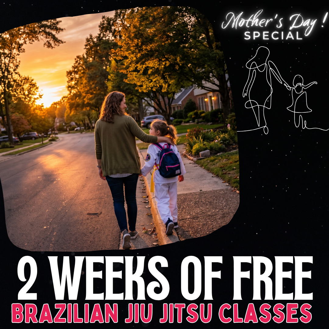 LX Jiu-Jitsu & Self Defense - Sugar Land, TX Facebook ad