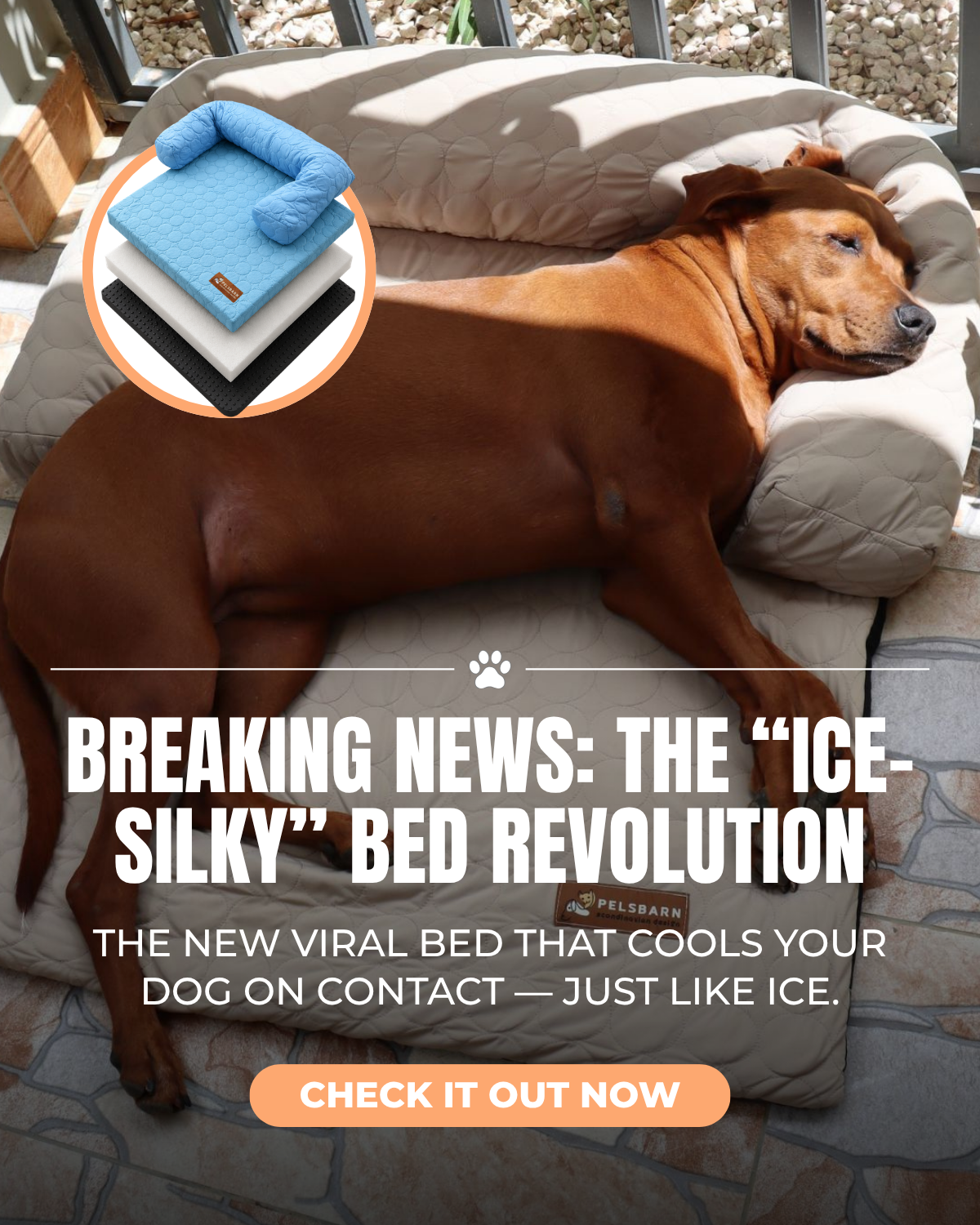 Pelsbarn Facebook ad
