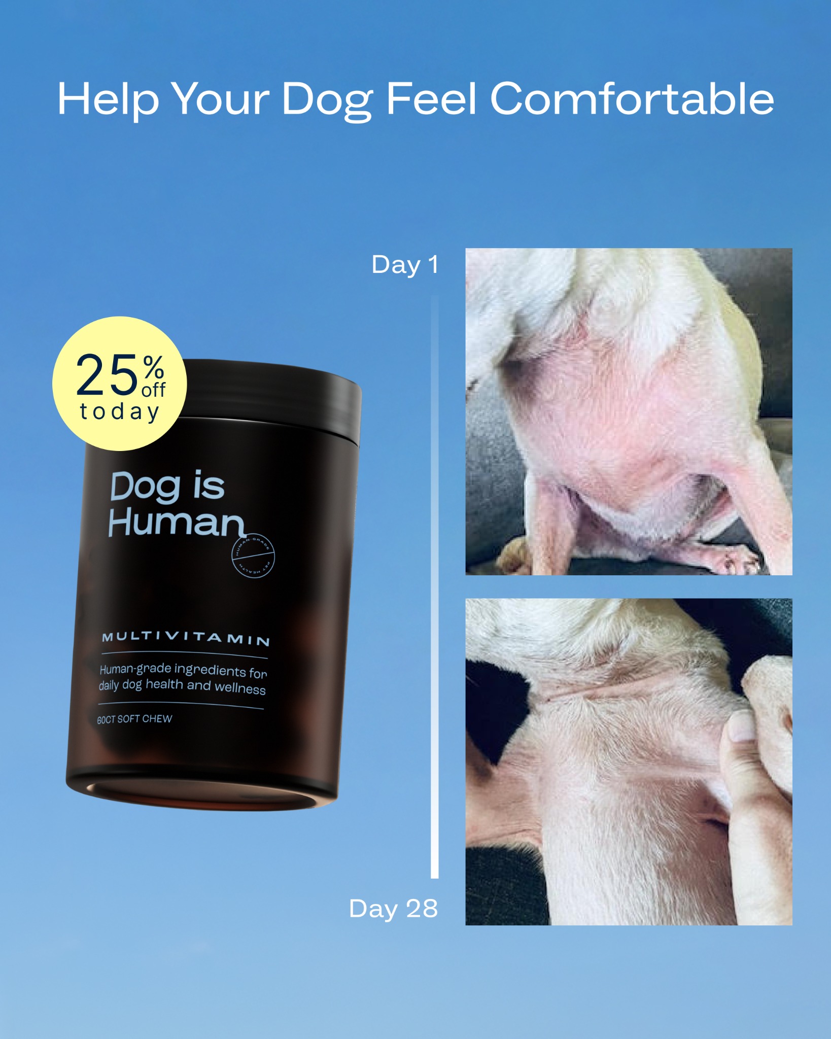 Dog is Human Facebook ad