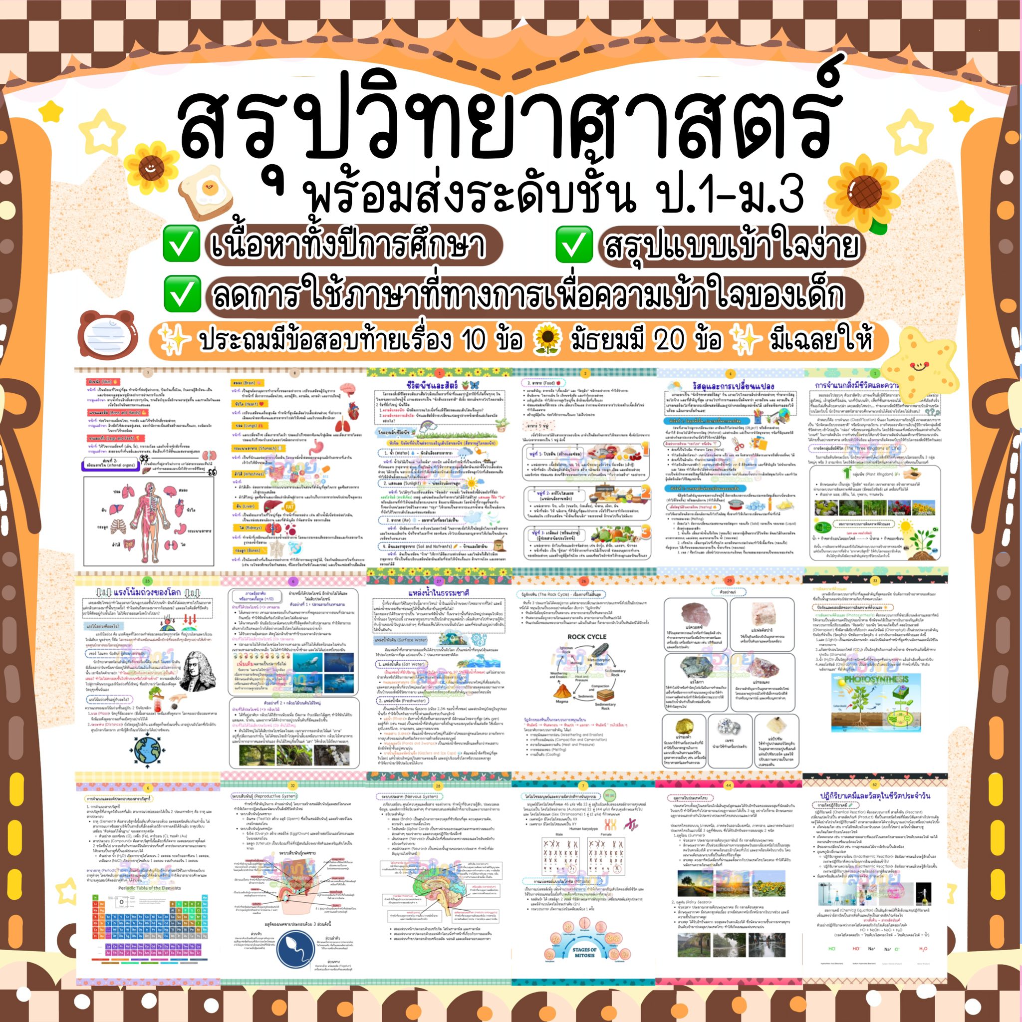 สื่อวิทย์ Sciencebysine Facebook ad: โปรโมชั่นสรุปวิชาวิทยาศาสตร์ ป.1-ม.3