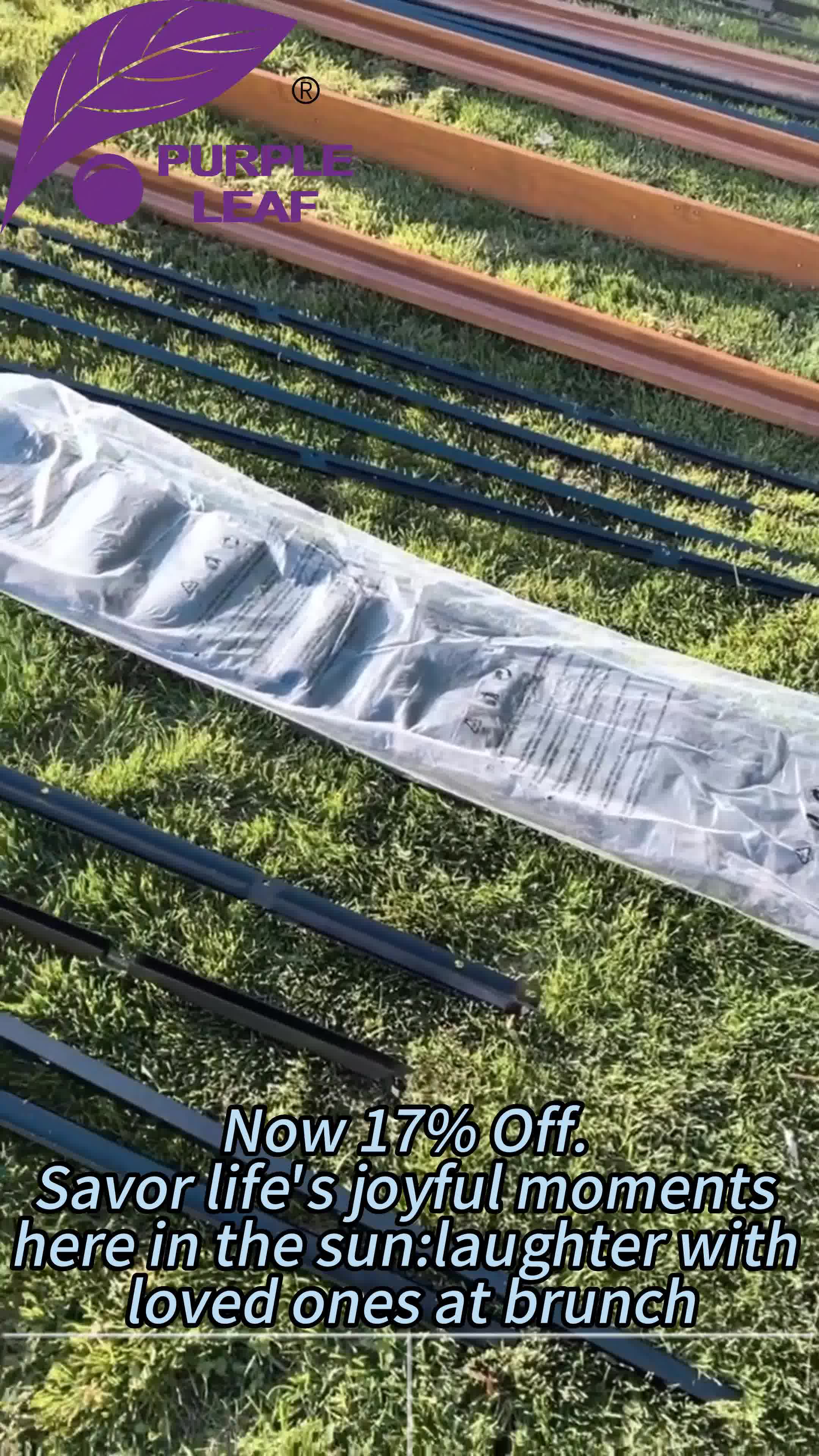 PURPLE LEAF Facebook ad from Aug 16, 2026