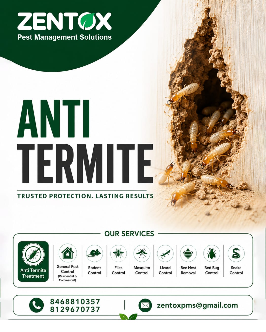 Zentox Pest Management Solution Facebook ad