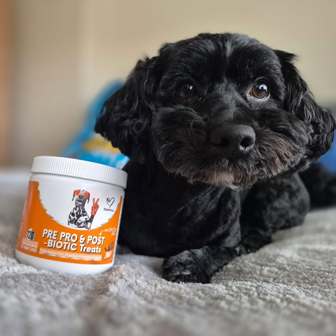 Nutri Paw Facebook ad
