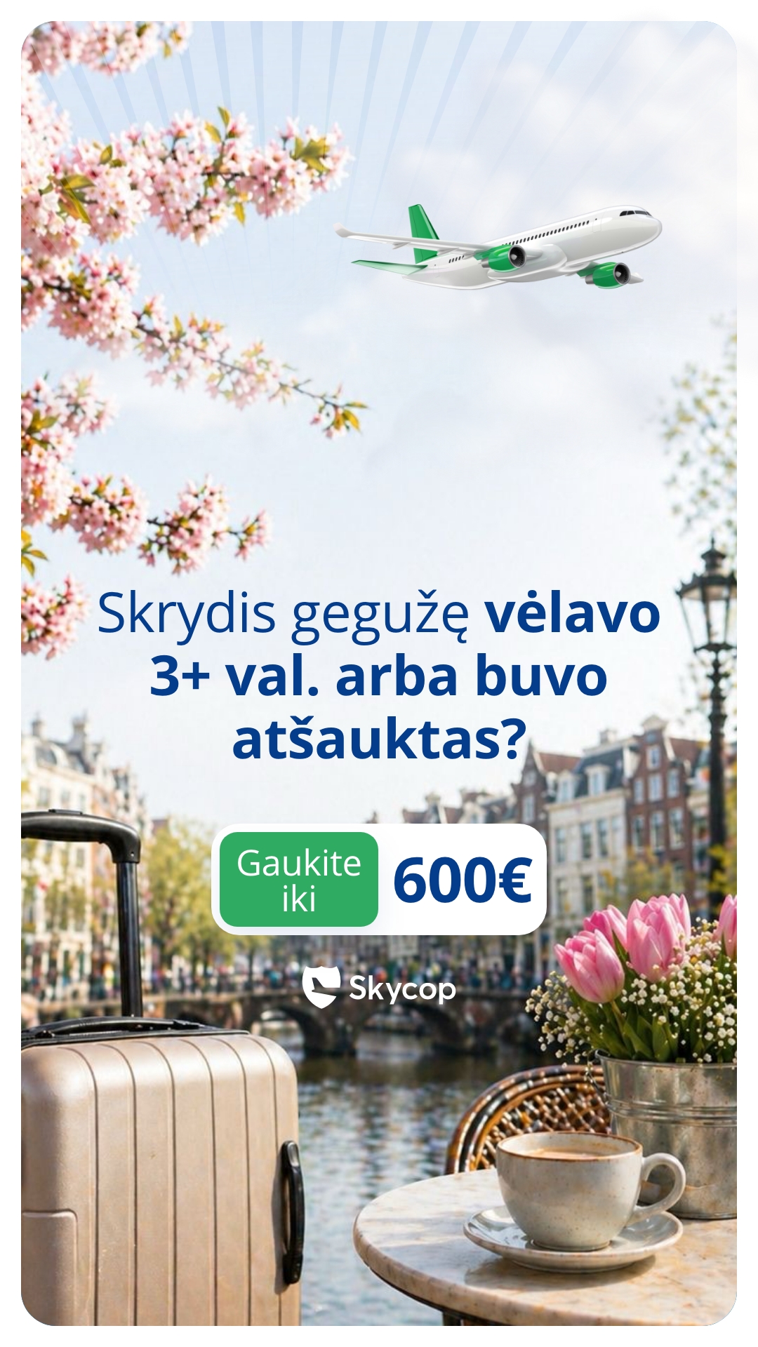 Skycop Facebook ad