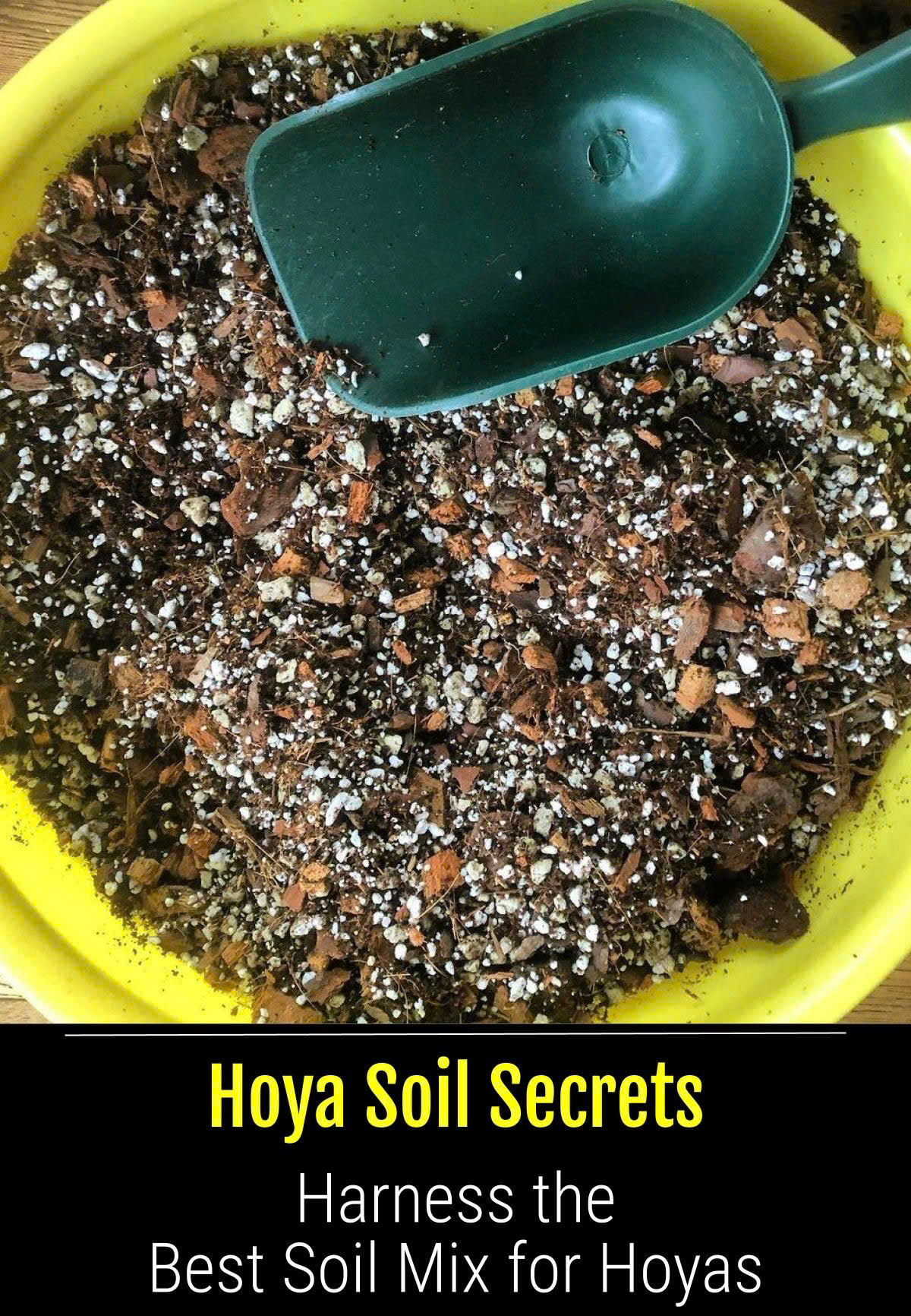 DH Garden Centre Facebook ad