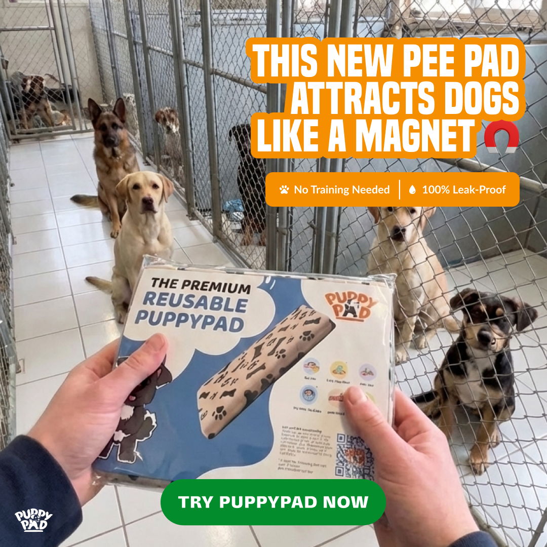 PuppyPad Facebook ad